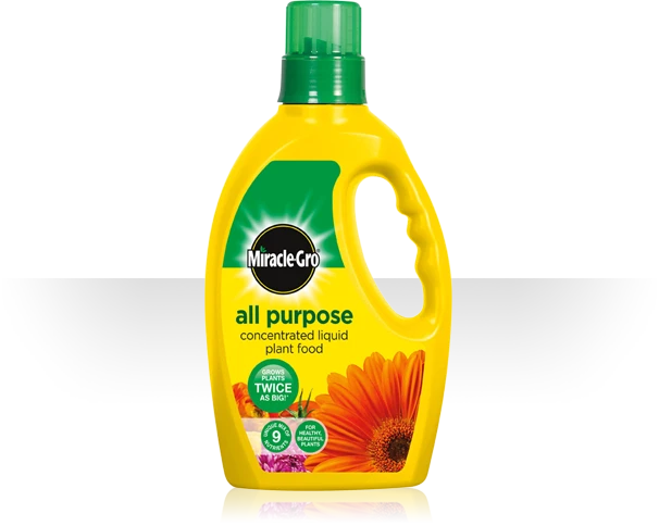 MIRACLE GRO ALL PURPOSE LIQUID CONCENTRATE PLANT FOOD 1L 1 MIRACLE GRO ALL PURPOSE LIQUID CONCENTRATE PLANT FOOD 1L