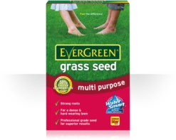 EverGreen Multi Purpose Grass Seed 1.6kg