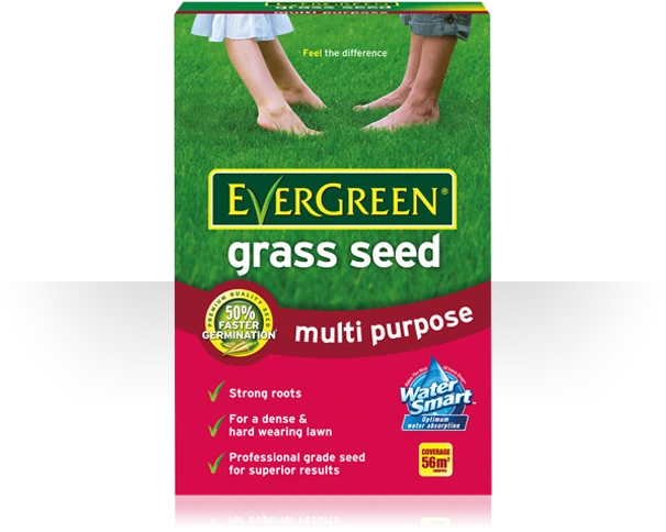 EverGreen Multi Purpose Grass Seed 1.6kg 1 EverGreen Multi Purpose Grass Seed 1.6kg