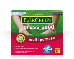 EverGreen Multi Purpose Grass Seed 210g
