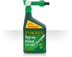 EverGreen Spray & Feed Lawn Food 1L