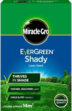 EverGreen Shady Lawn Grass Seed 420g