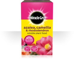 Miracle-Gro Azalea, Camellia & Rhododendron Soluble Plant Food 1kg