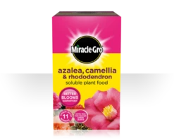 Miracle-Gro Azalea, Camellia & Rhododendron Soluble Plant Food 500g